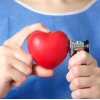 Cây Đuôi Chuột Hoa Trắng: Tác Dụng, Cách Dùng và Bài Thuốc Hay