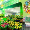 Cây Mận Miền Nam: Đặc Điểm, Cách Trồng và Lợi Ích Bất Ngờ