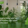 Chăm sóc cây trồng toàn diện cho mùa bội thu