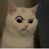 Giải mã meme ánh mắt phán xét: Khi ánh nhìn trở thành vũ khí hài hước