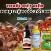 Giải pháp diệt kiến hiệu quả cho cây trồng: Lựa chọn nào tốt nhất 2026?