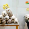 Hướng dẫn cách trồng phôi nấm tại nhà chi tiết và hiệu quả