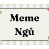 Khám phá 33 Meme Não hài chế giễu những người thiếu suy nghĩ