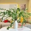 Khám phá hoa tiểu tú cầu: Nguồn gốc, đặc điểm và cách cắm tinh tế