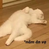 Khám phá kho meme ăn uống và ăn xin hài hước nhất 2026