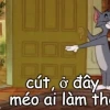 Khám phá kho meme "không có chi" độc đáo và hài hước