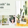Khám Phá Thế Giới Hoa Giả Trang Trí Đa Dạng và Sắc Màu Cho Mọi Không Gian