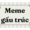 Khám Phá Thế Giới Meme Gấu Trúc Bựa Hài Hước Nhất 2026