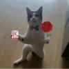 Tổng hợp 101+ ảnh meme tặng hoa hài hước và đáng yêu