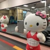 Tổng hợp 160+ ảnh avatar mèo vô tri hài hước và bá đạo