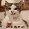 Tuyển tập ảnh meme hài hước đỉnh cao 2026