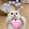 Tuyển tập meme tình yêu hài hước, đáng yêu nhất 2026