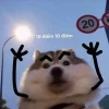 Vì Bạn Xứng Đáng Meme Tuyển Tập Truyền Cảm Hứng 2026