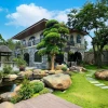 Ý Nghĩa Cây Tùng Trong Phong Thủy Và Cách Trồng Chi Tiết