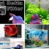 Professional guide to choosing the right aquarium filter for betta fish in 2026