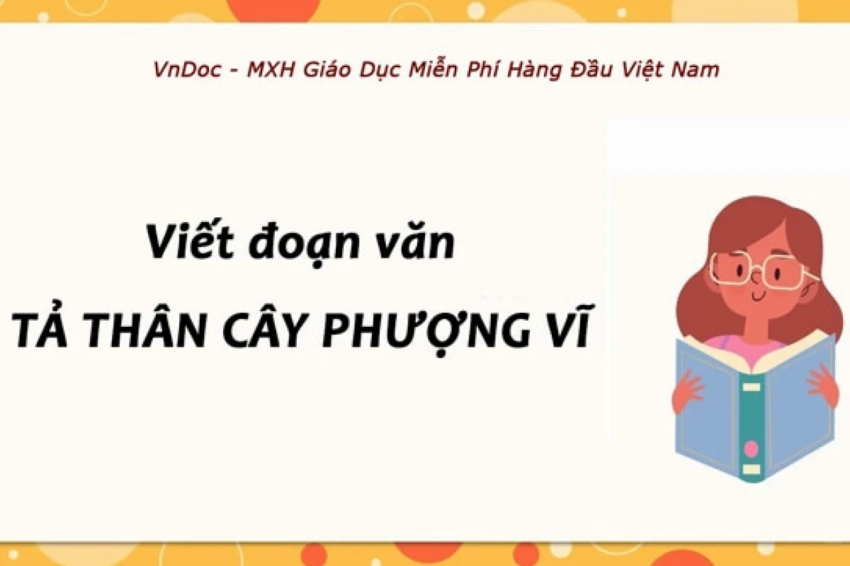 Thân cây phượng như thế nào? Đặc điểm và vai trò trong đời sống