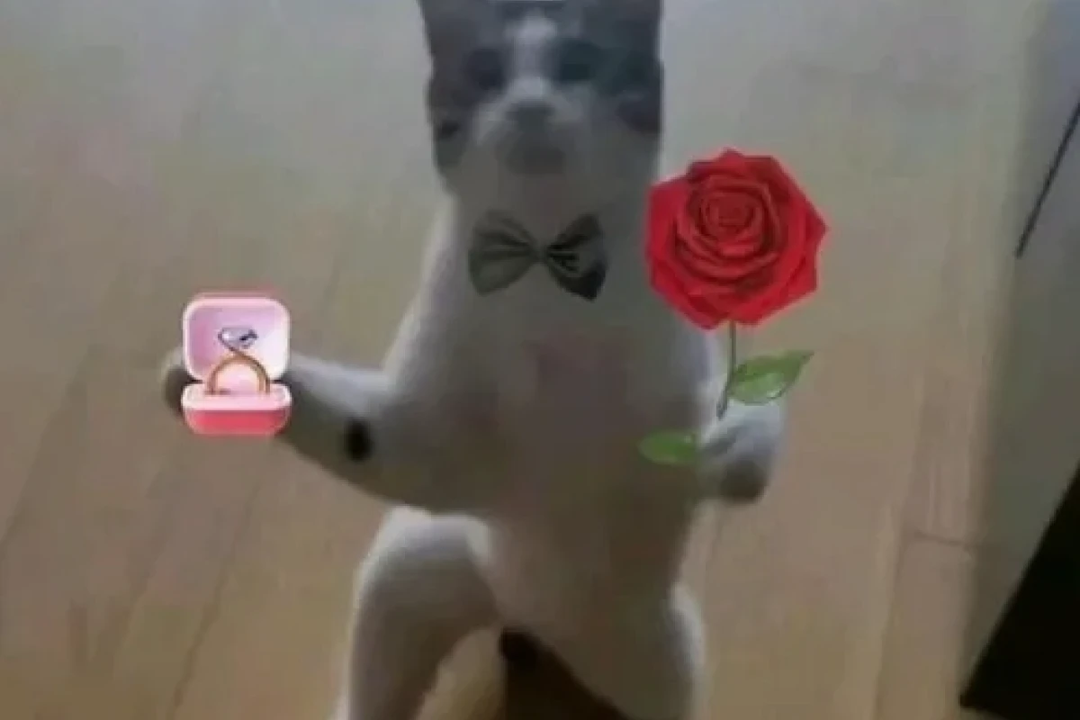 Tổng hợp 101+ ảnh meme tặng hoa hài hước và đáng yêu