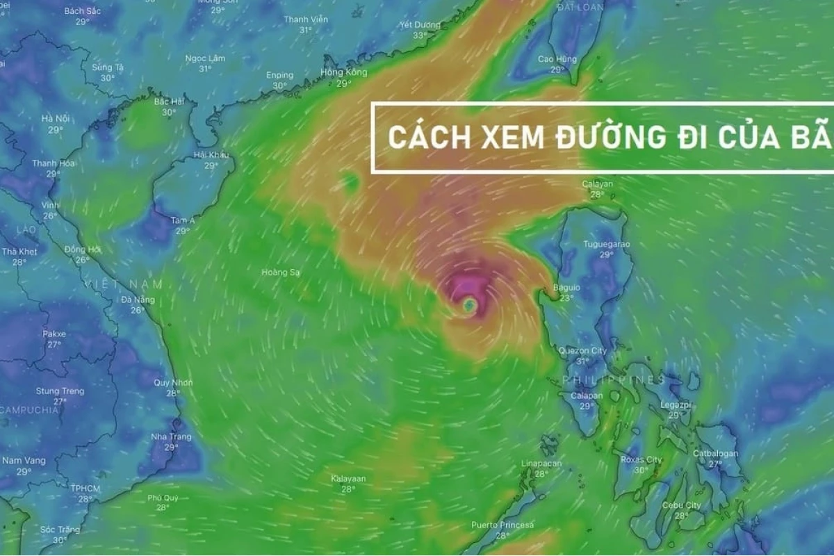 Cách theo dõi tuyến đường di chuyển bão và dự báo thiên tai chính xác năm 2026