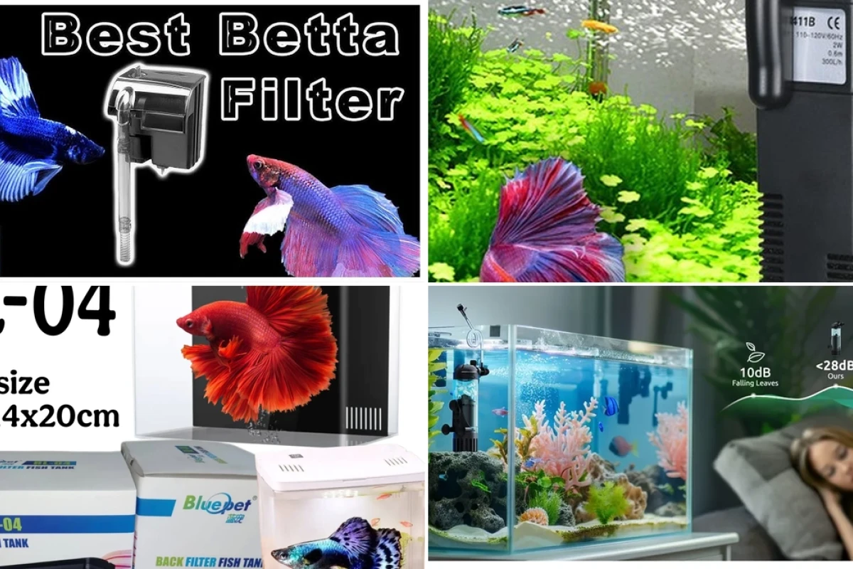 Professional guide to choosing the right aquarium filter for betta fish in 2026