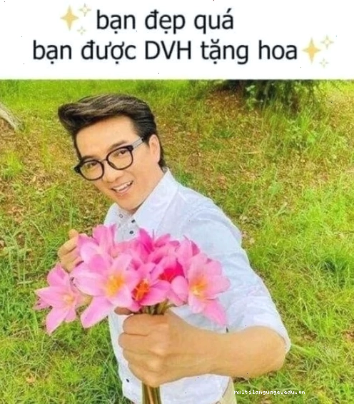 Ảnh chế Đàm Vĩnh Hưng meme ngủ