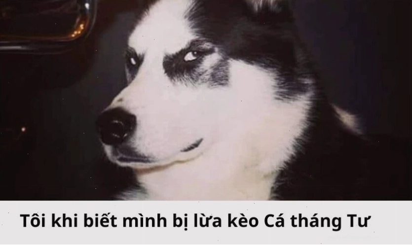 Ảnh chế hài hước ngày 1/4 sử dụng meme