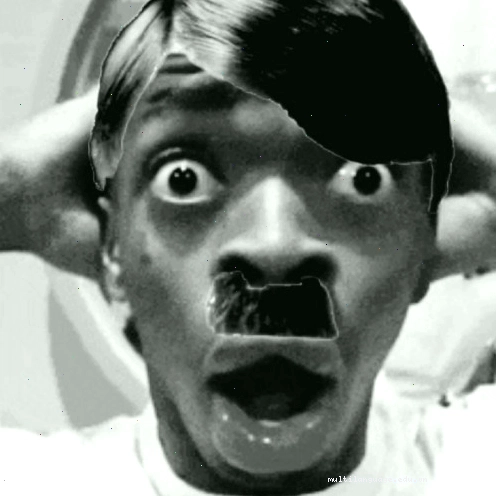 Ảnh chế Hitler với phong cách độc đáo