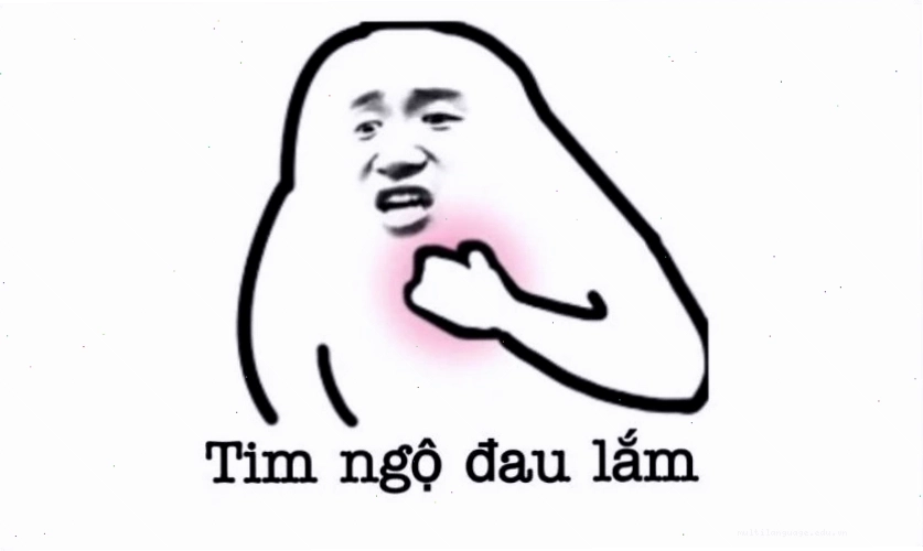 Ảnh meme hài bựa, hài hước nhất 2026 với biểu cảm dễ thương
