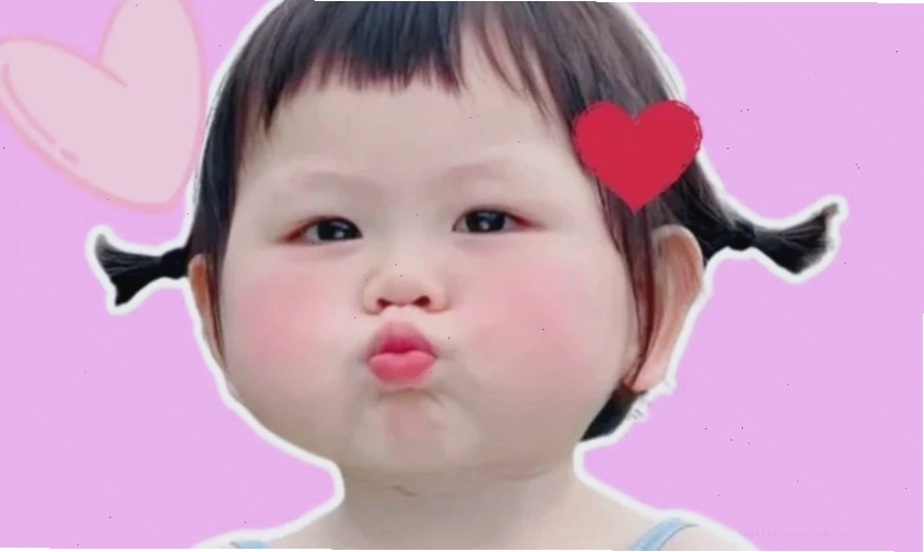 Ảnh meme mèo bựa với biểu cảm cute, đáng yêu