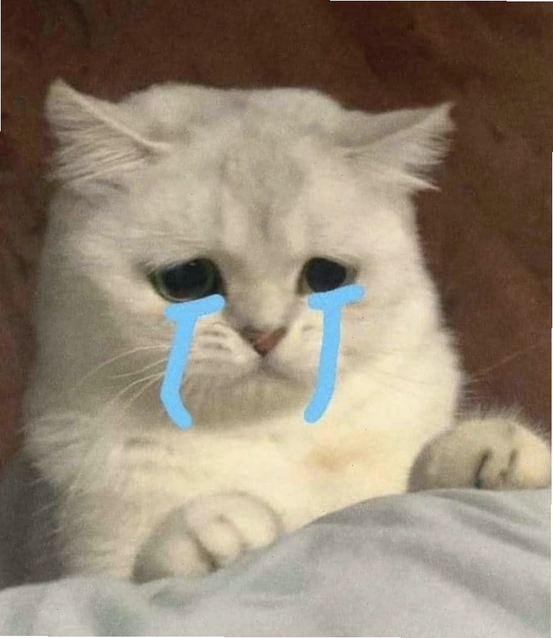 Ảnh meme mèo khóc cười