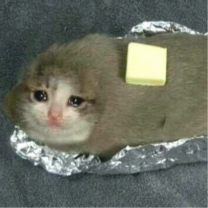 Ảnh meme mèo khóc cute