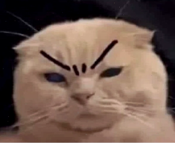 Ảnh meme phán xét hài hước