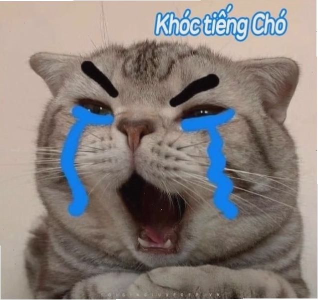 Ảnh mèo khóc thể hiện sự đáng yêu
