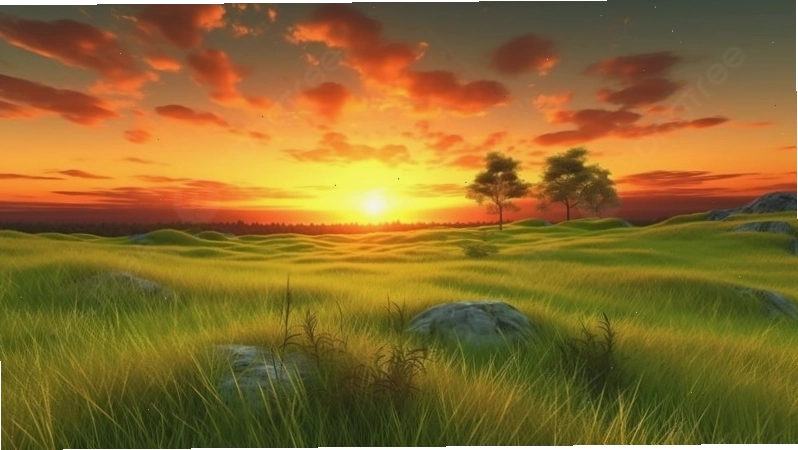 Avatar cảnh hoàng hôn trên cánh đồng