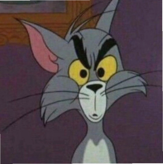 Avatar đôi Tom và Jerry hài hước