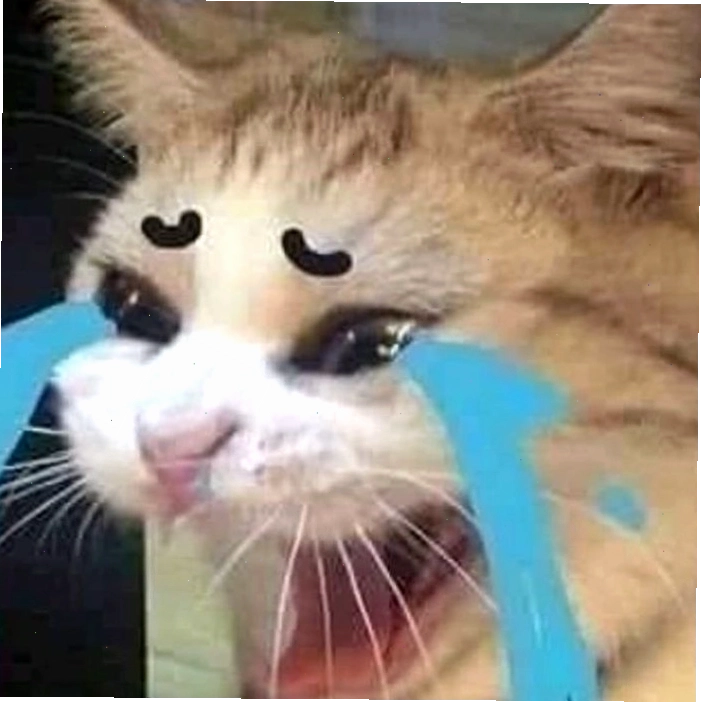 Biểu cảm của meme mèo khóc cười