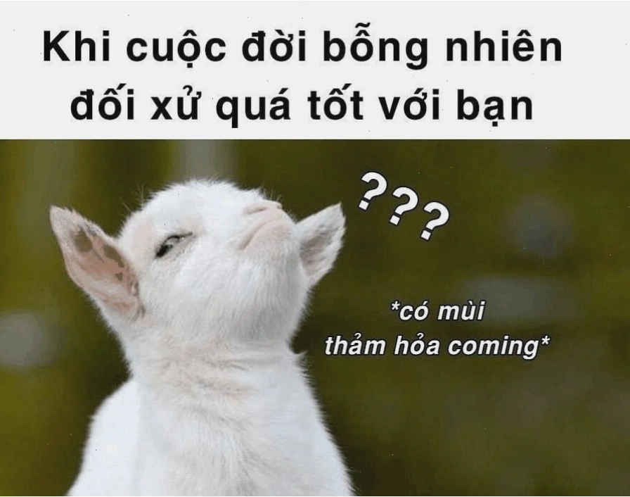 Biểu cảm khó hiểu với đôi mắt nhìn nghiêng