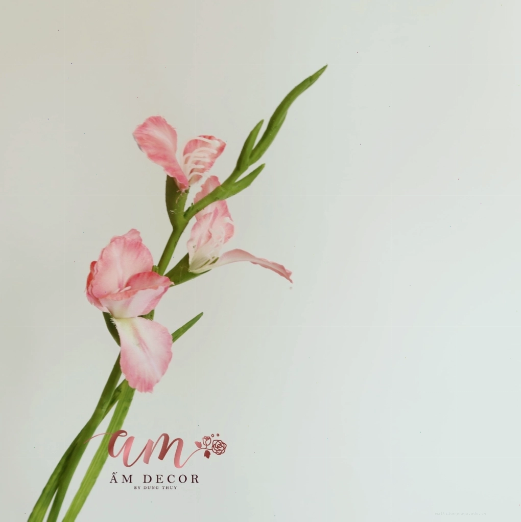 Bình hoa lay ơn hồng tươi thắm