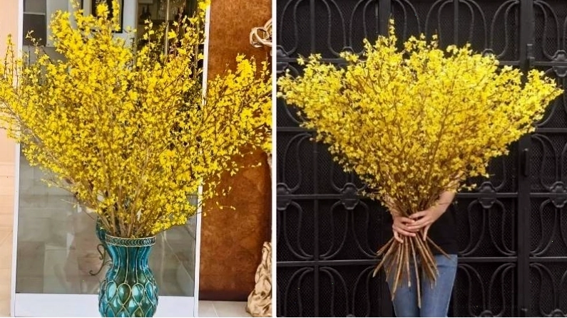 Bình hoa mai Mỹ vàng rực rỡ