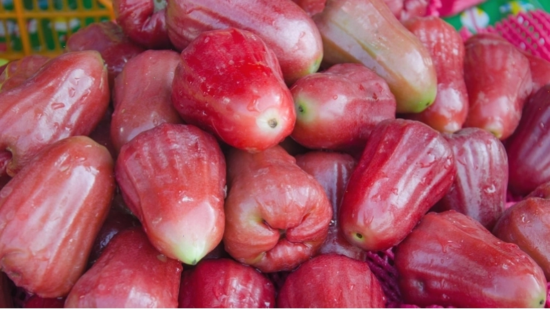 Bó trái mận tươi ngon
