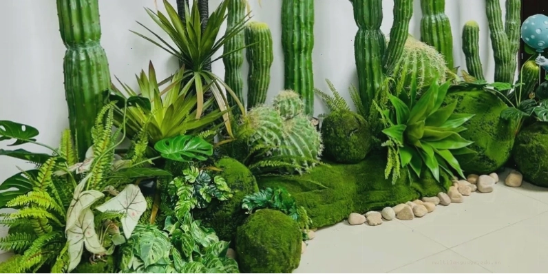 Bồn hoa trước nhà trồng xương rồng và các loại cây mọng nước