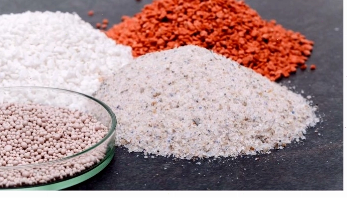 Bón phân đúng cách giúp cây thiết mộc lan phát triển tốt
