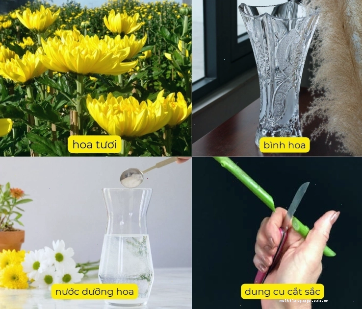 Các dụng cụ cần thiết để cắm hoa cúc