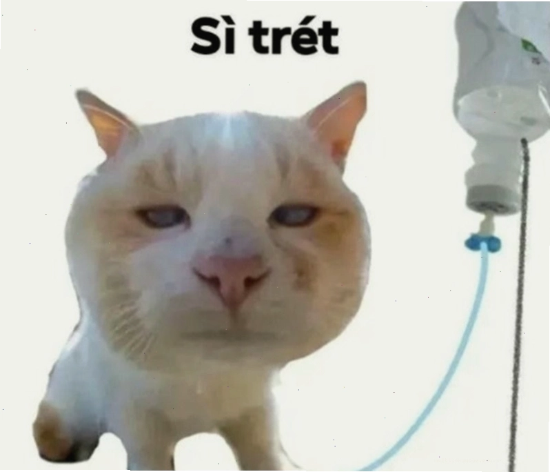 Các trường hợp sử dụng meme suy nghĩ hiệu quả