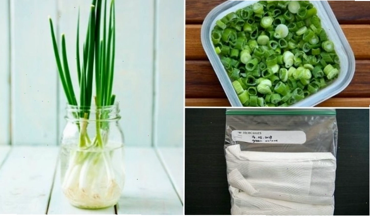 Cách bảo quản hành lá tươi lâu trong tủ lạnh