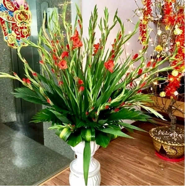 Cách cắm hoa bàn thờ với hoa lay ơn đỏ và vàng