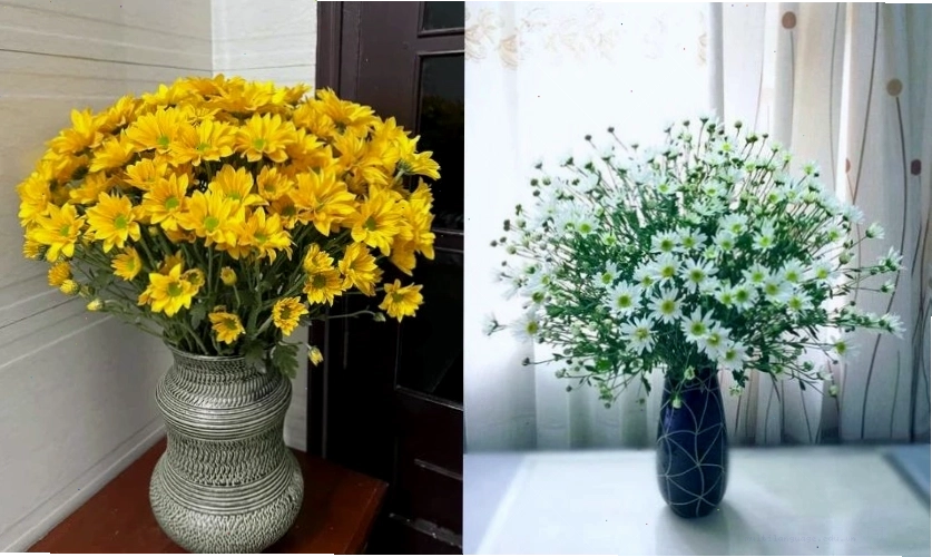 Cách cắm hoa cúc chưng Tết kiểu tỏa tròn đều đẹp mắt