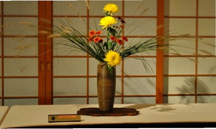 Cách cắm hoa cúc ngày Tết phong cách Ikebana tối giản