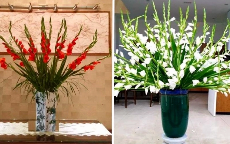 Cách cắm hoa lay ơn trưng phòng khách