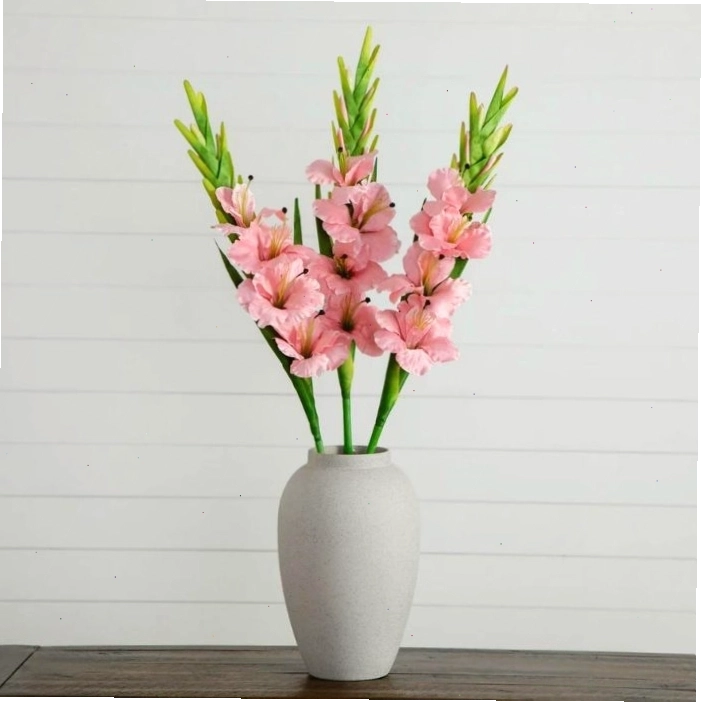 Cách giữ hoa lay ơn tươi lâu hiệu quả