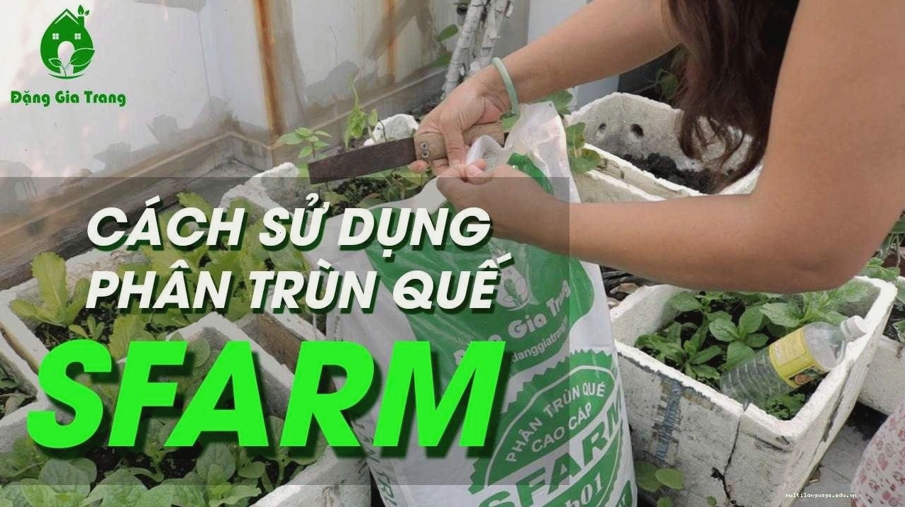 Cách sử dụng phân trùn quế SFARM